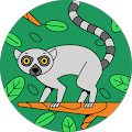 Avatar du profil de Ayman Bougueffa