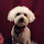 lisa eddy's profile photo