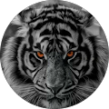 Avatar de Jean-luc.c