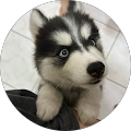 Jayda L