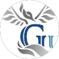 Guardian Chimney Solutions LLC 612-636-0277