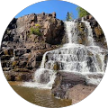 Reviewer Image