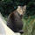 Peggy Stewart's profile photo