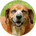 Cheryl Adam's profile image