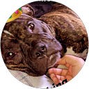 Dianna Motebo's profile image
