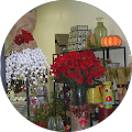 SeaBreeze Vacation Rentals by Vacasa - La Jolla, California