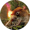 Avatar de Renaud.o