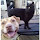 Cassie Plummer's profile photo