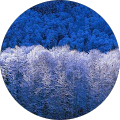 Avatar de M.