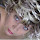 Brandi Spohn's profile photo