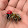 sca...@gmail.com's profile photo