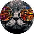 Avatar de Alexandre.E
