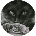 Avatar de FELIX.