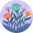 kaitlyn sicuro's profile image