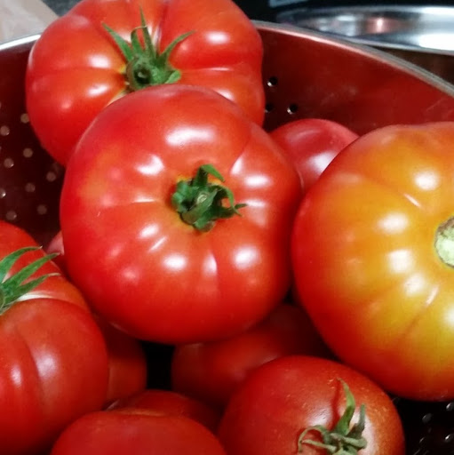 Organic & Quality Seeds | Anderson's Seed & Garden