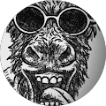 Avatar de benoit.e