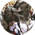 Avatar de Joseba.o