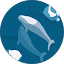Google Reviewer Avatar