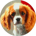 Avatar de Niels.A