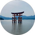 岡田悠