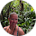 kim conrod profile picture