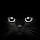 Anton Erwin's profile photo