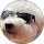 友香樋口 profile picture