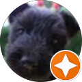 Avatar de Michèle.i