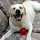 Jane Carter's profile photo