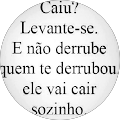 Zelandia Sol
