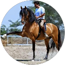 Avatar Lusitanos Curri