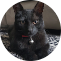 Avatar de Célia.