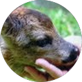 Avatar de Pakoune.a