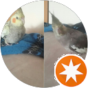 bonbon and pumpkin profile photo