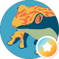 Polished_Frog