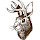 piemas...@gmail.com's profile photo