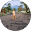 Newrul Hidayattulloh