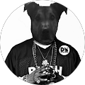 Avis de SnoopCoby.o avec une note de 5 sur 5