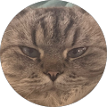 Community member