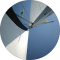 Avatar de Lutz.r