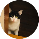 saayaのプロフィール画像