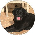 Avatar de Cyrianne.