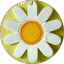 francoise laurent Avatar