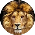 Avatar de Christophe.e