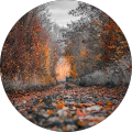 I-MED Radiology Wagga Wagga - Wagga Wagga, New South Wales