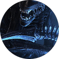 Avatar du profil de kepic