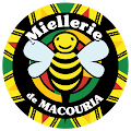 Avatar de Miellerie.e