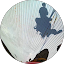 Mugiwaval Avatar