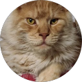 Avatar de Frédéric.e