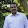 john pratheesh's profile photo